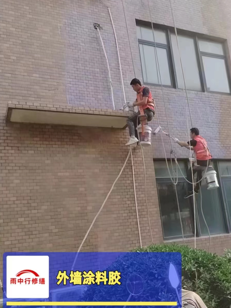 后湖管理区外墙防水修缮